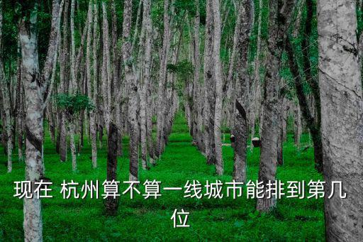 現(xiàn)在 杭州算不算一線城市能排到第幾位