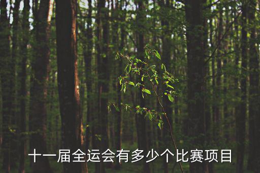 全運會賽程，全運會男籃賽程遼籃今日對誰幾點打