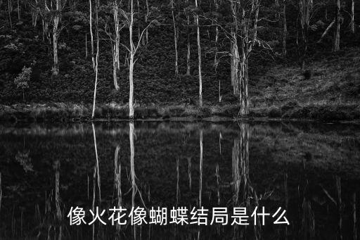 像火花像蝴蝶結局是什么
