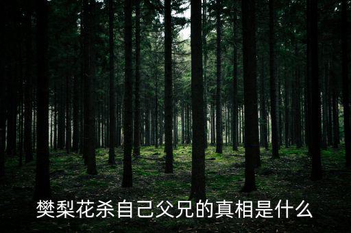 樊洪，大唐女將樊梨花樊洪誰殺的