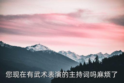 您現在有武術表演的主持詞嗎麻煩了