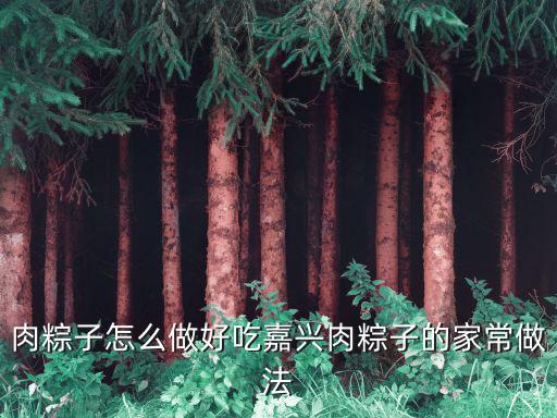 肉粽子怎么做好吃嘉興肉粽子的家常做法
