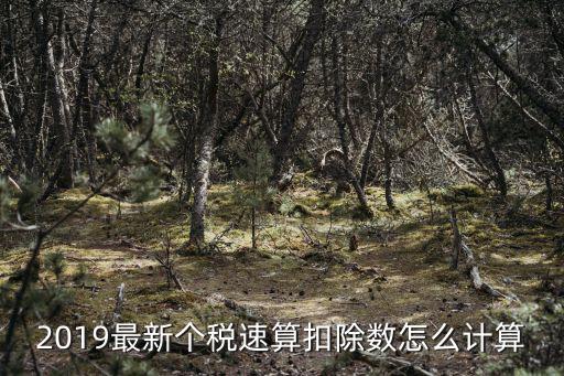 個稅速算扣除表，2019最新個稅速算扣除數怎么計算