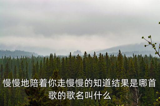 慢慢地陪著你走，聽過一首歌歌詞里面其中幾句連續要幾個慢慢的是連在一起的