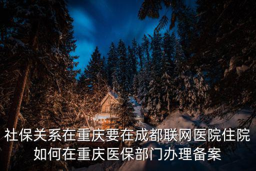 醫保備案怎么辦理流程，醫療保險登記備案需要什么