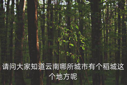 請(qǐng)問大家知道云南哪所城市有個(gè)稻城這個(gè)地方呢
