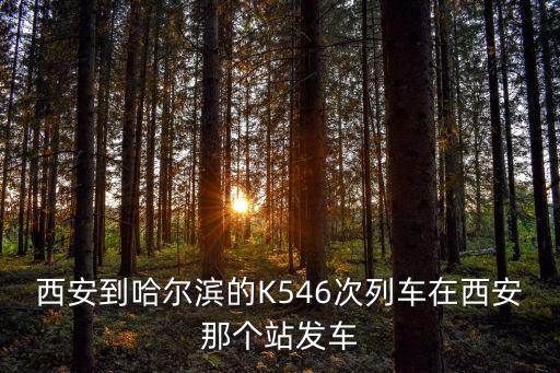 西安到哈爾濱的K546次列車在西安那個站發(fā)車