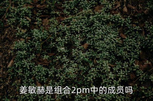 姜敏赫是組合2pm中的成員嗎