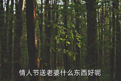 情人節送老婆什么，情人節送老婆什么東西好呢