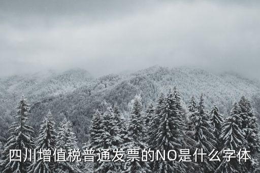 四川發票，四川增值稅普通發票的NO是什么字體