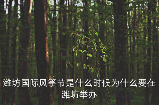 濰坊國際風箏節是什么時候為什么要在濰坊舉辦