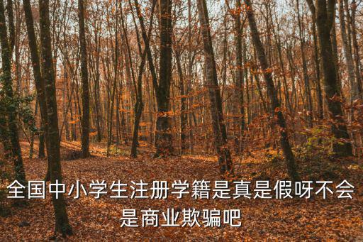 全國中小學學籍，全國中小學生學籍網的問題