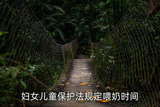 婦女兒童保護(hù)法規(guī)定喂奶時(shí)間