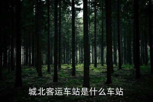 城北客運車站是什么車站