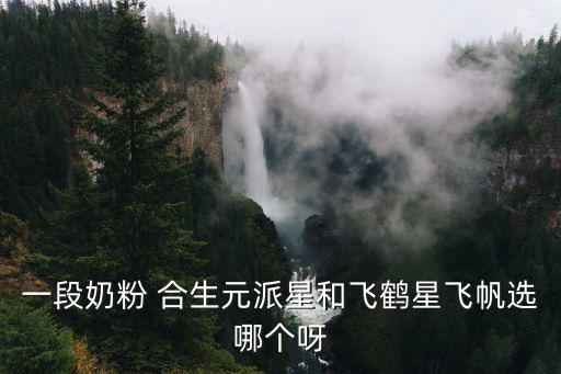 1段奶粉哪個好，請問嬰兒一段奶粉什么牌子的好