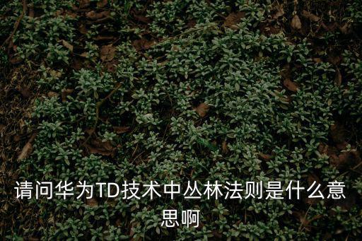 什么是叢林法則，甚么是叢林法則