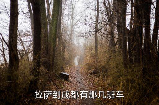 拉薩到成都，拉薩到成都有那幾班車