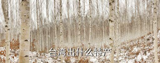 臺灣出什么特產