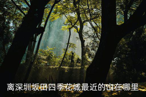 離深圳坂田四季花城最近的山在哪里