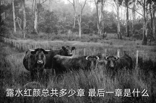 露水紅顏總共多少章 最后一章是什么