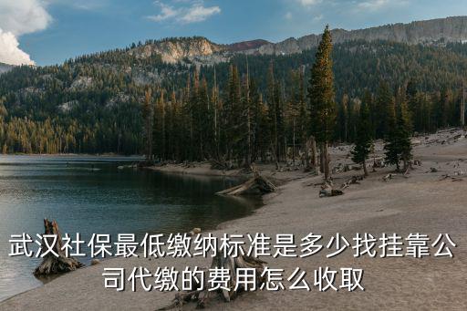 武漢社保最低繳納標(biāo)準(zhǔn)是多少找掛靠公司代繳的費(fèi)用怎么收取