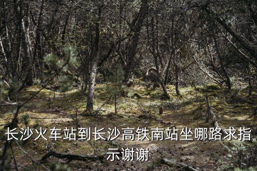 長沙火車站到長沙高鐵南站坐哪路求指示謝謝