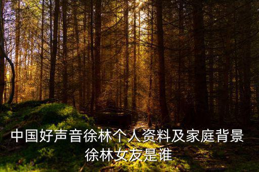 徐林，中國好聲音徐林個人資料及家庭背景 徐林女友是誰