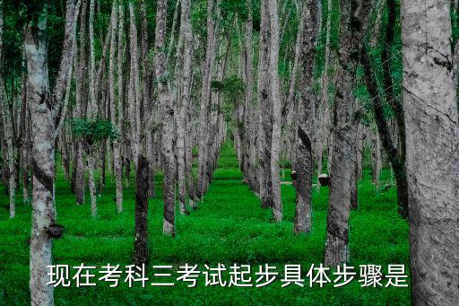 現(xiàn)在考科三考試起步具體步驟是
