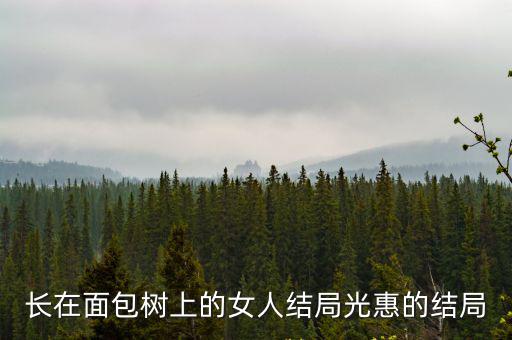 長(zhǎng)在面包樹上的女人結(jié)局光惠的結(jié)局