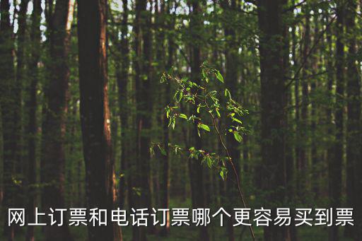 電話訂票電話，訂機票客服電話是多少