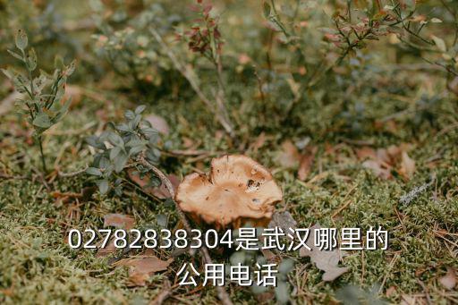 02782838304是武漢哪里的公用電話