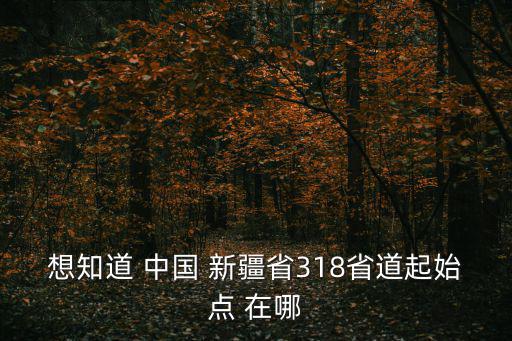 318線(xiàn)，318線(xiàn)2560公里加500米處在哪