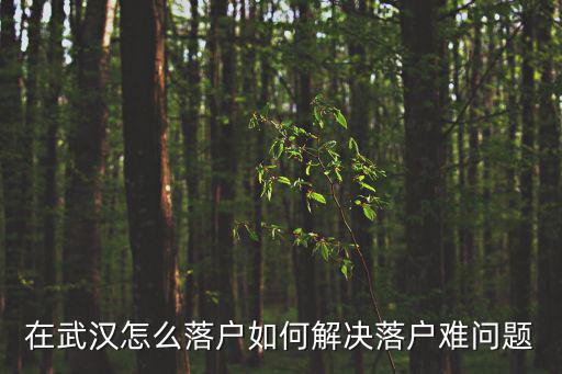在武漢怎么落戶如何解決落戶難問題