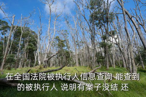 全國失信人員查詢系統，在全國法院被執行人信息查詢 能查到的被執行人 說明有案子沒結 還