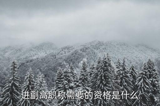 進(jìn)副高職稱需要的資格是什么