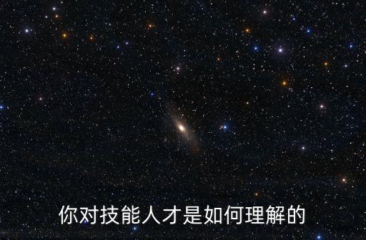 你對技能人才是如何理解的