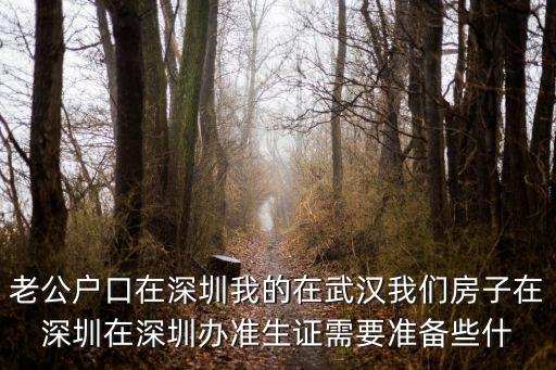 老公戶口在深圳我的在武漢我們房子在深圳在深圳辦準生證需要準備些什