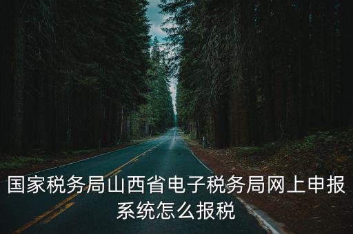 國家稅務局山西省電子稅務局網上申報系統怎么報稅