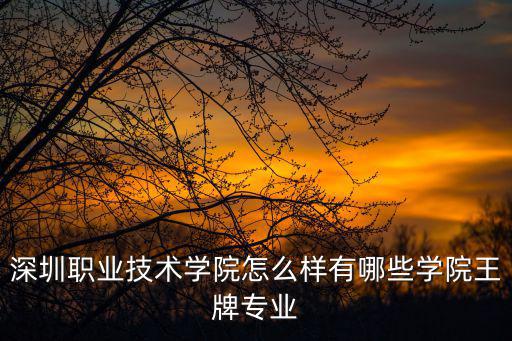 深圳職業(yè)技術(shù)學(xué)院怎么樣有哪些學(xué)院王牌專業(yè)