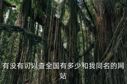 有沒有可以查全國有多少和我同名的網(wǎng)站
