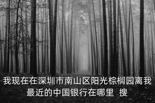 我現(xiàn)在在深圳市南山區(qū)陽光棕櫚園離我最近的中國銀行在哪里  搜
