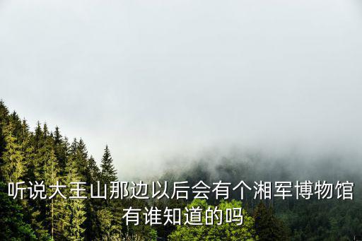 聽說大王山那邊以后會有個湘軍博物館 有誰知道的嗎