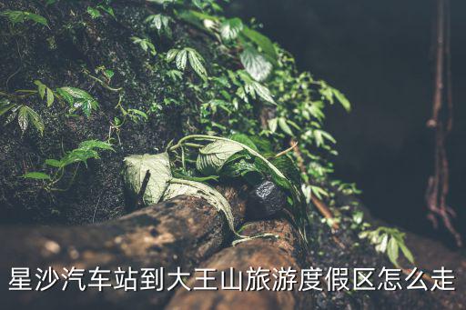 大王山旅游度假區，大連大王山在哪
