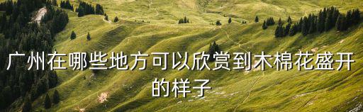 廣州在哪些地方可以欣賞到木棉花盛開的樣子