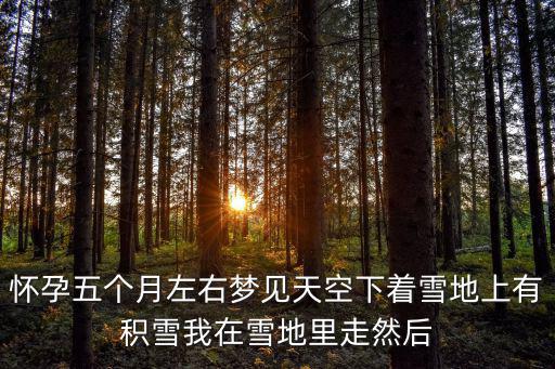 懷孕五個月左右夢見天空下著雪地上有積雪我在雪地里走然后