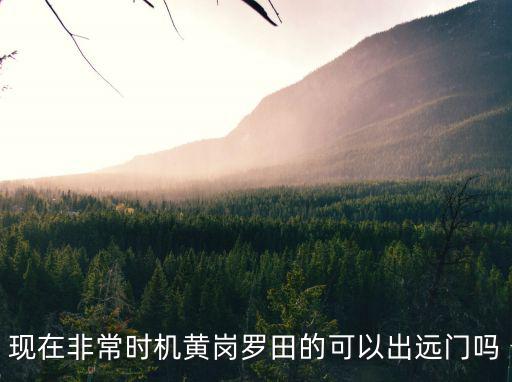 現在非常時機黃崗羅田的可以出遠門嗎