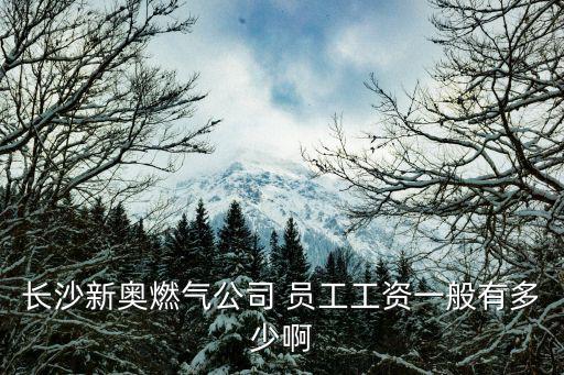 長沙新奧燃氣公司 員工工資一般有多少啊