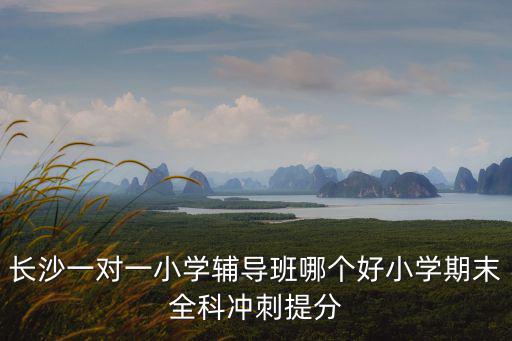 長沙一對一小學輔導班哪個好小學期末全科沖刺提分