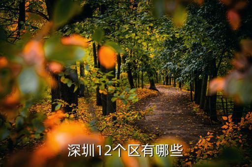 深圳12個區(qū)有哪些