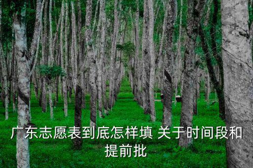 廣東志愿表到底怎樣填 關于時間段和提前批